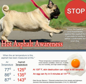 Hot-Asphalt-Awareness1